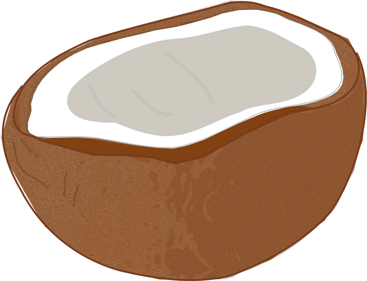 Polished coconut shell bowl